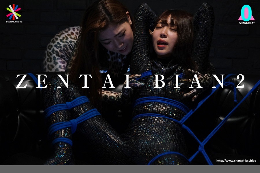 アキバブロードバンドビジョン-作品名「ZENTAI BIAN 2」サンプル画像