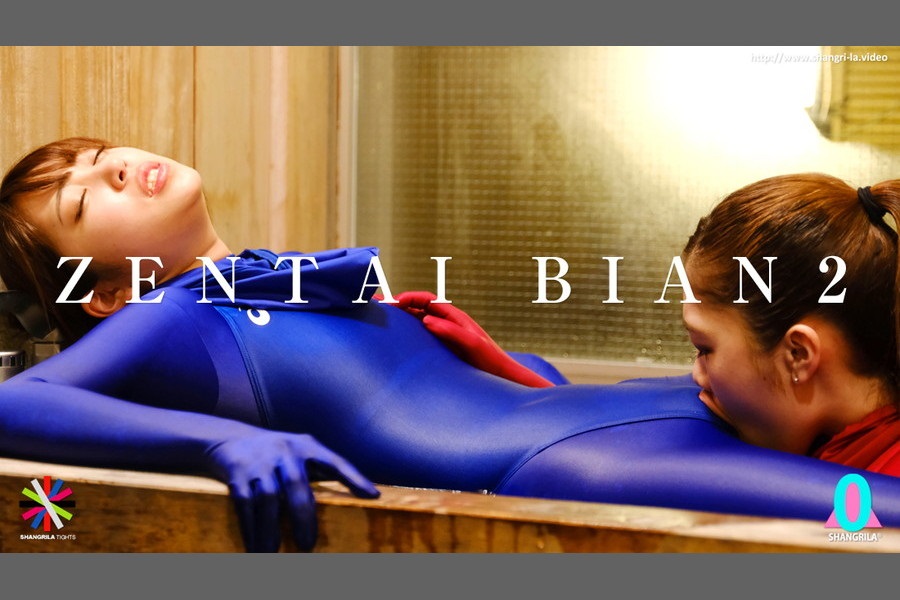 アキバブロードバンドビジョン-作品名「ZENTAI BIAN 2」サンプル画像