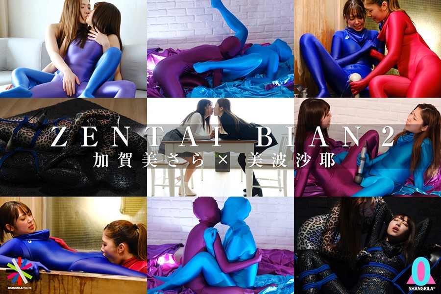 アキバブロードバンドビジョン-作品名「ZENTAI BIAN 2」サンプル画像